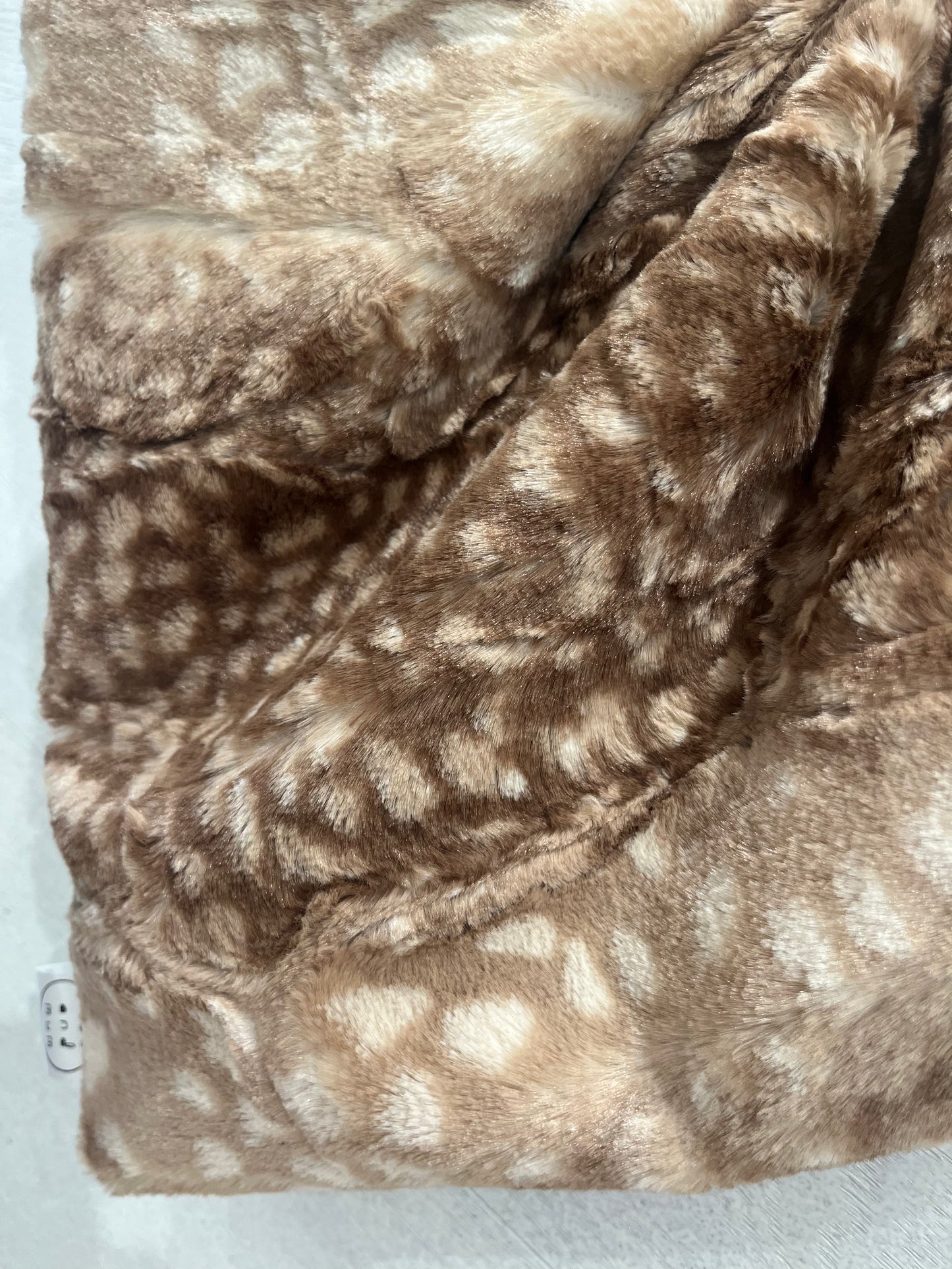 Lucky Cub - Fawn/Brown Face Accent